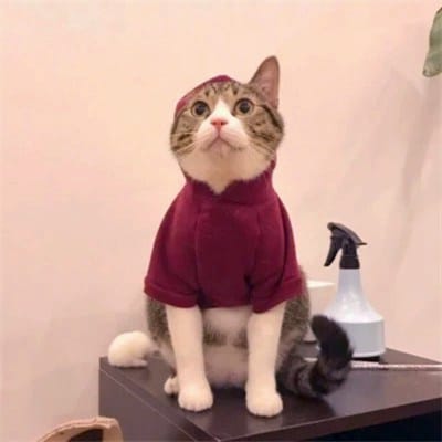 Công Phượng avatar