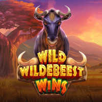 Wild Wildebeest Wins