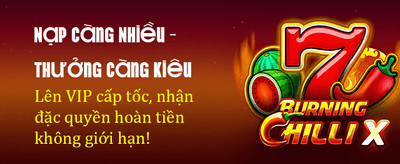 Đẳng Cấp Giải Trí Thượng Lưu